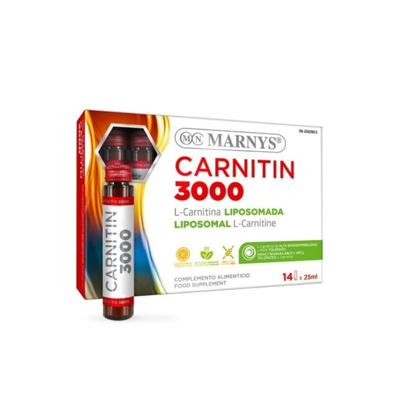 Accelerator metabolic Carnitin 3000 mg