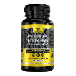 Ashwagandha KSM-66 Premium