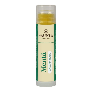 Balsam buze Menta