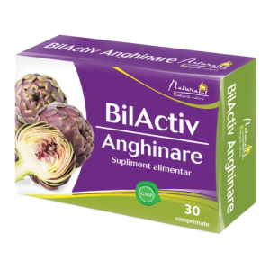 BilActiv Anghinare