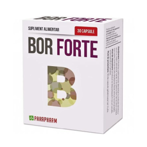 Bor Forte