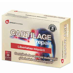 Cartilage repair
