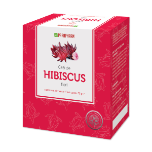 Ceai de hibiscus flori
