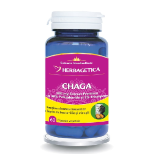 Chaga