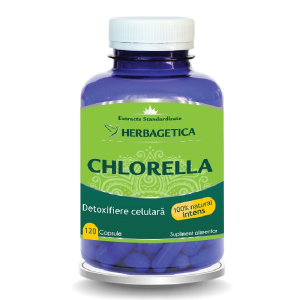 Chlorella