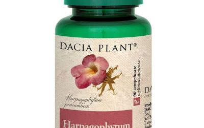 DACIA PLANT Harpagophytum – Supliment pentru Articulații