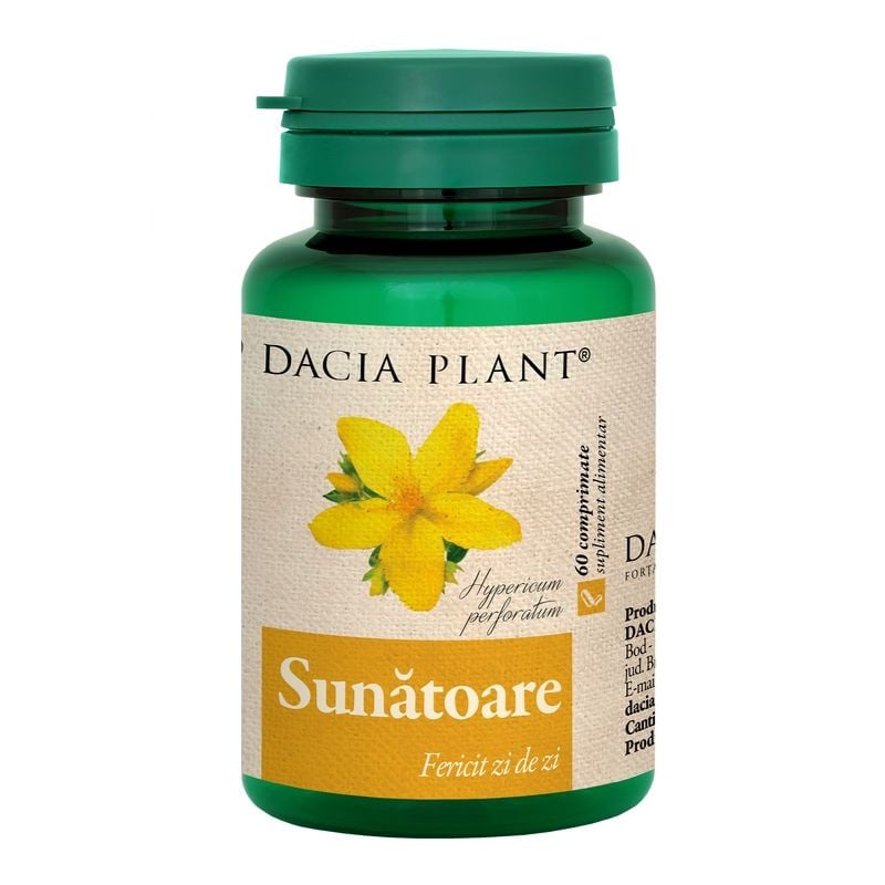 DACIA PLANT Sunatoare