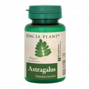 Dacia Plant Astragalus