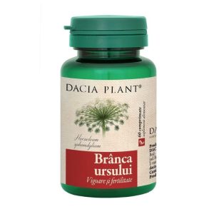 Dacia Plant Branca ursului