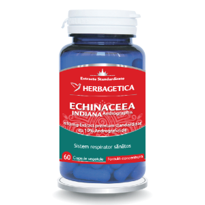 Echinaceea Indiana