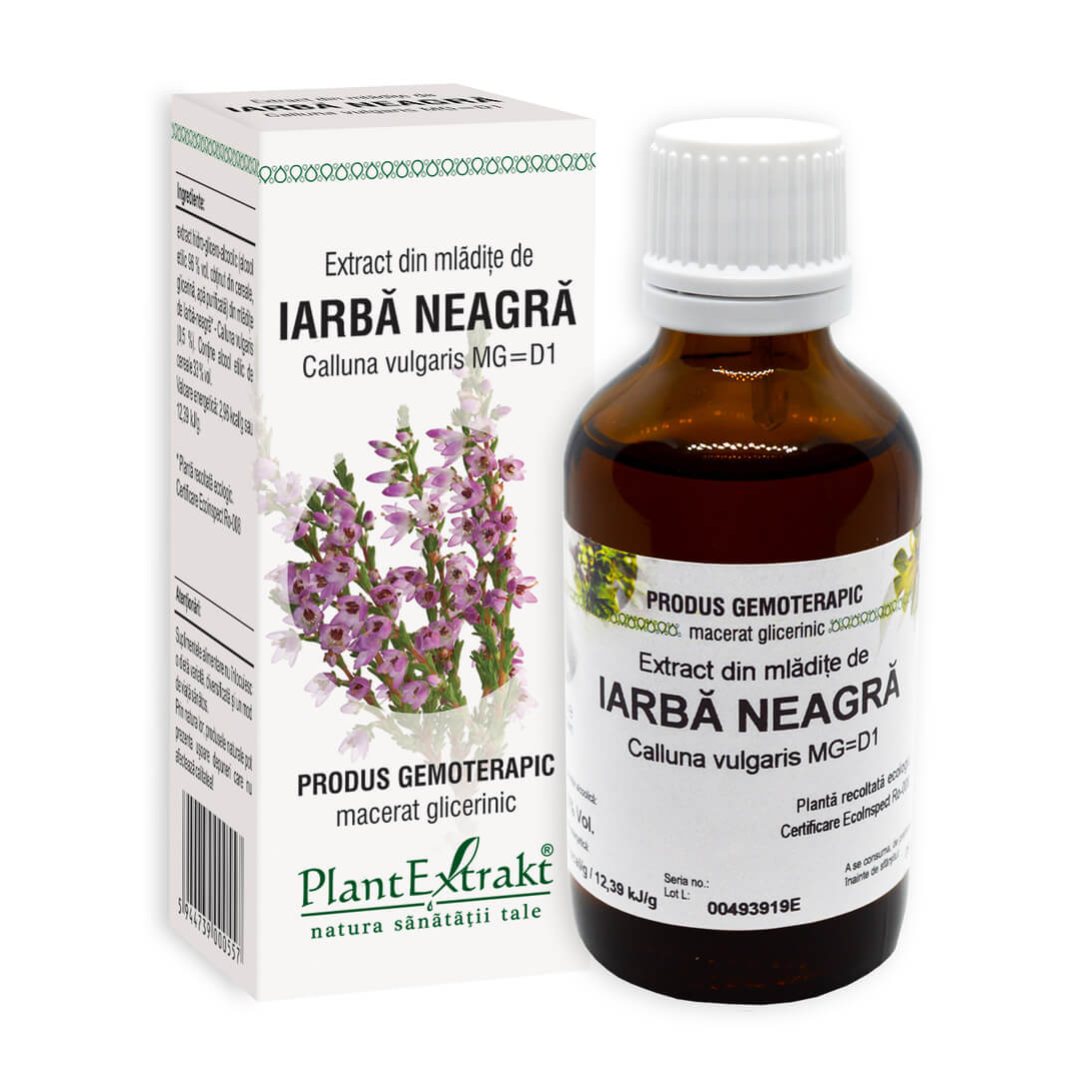 Extract din mladite de Iarba Neagra