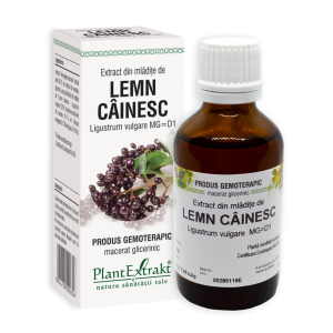 Extract din mladite de Lemn Cainesc