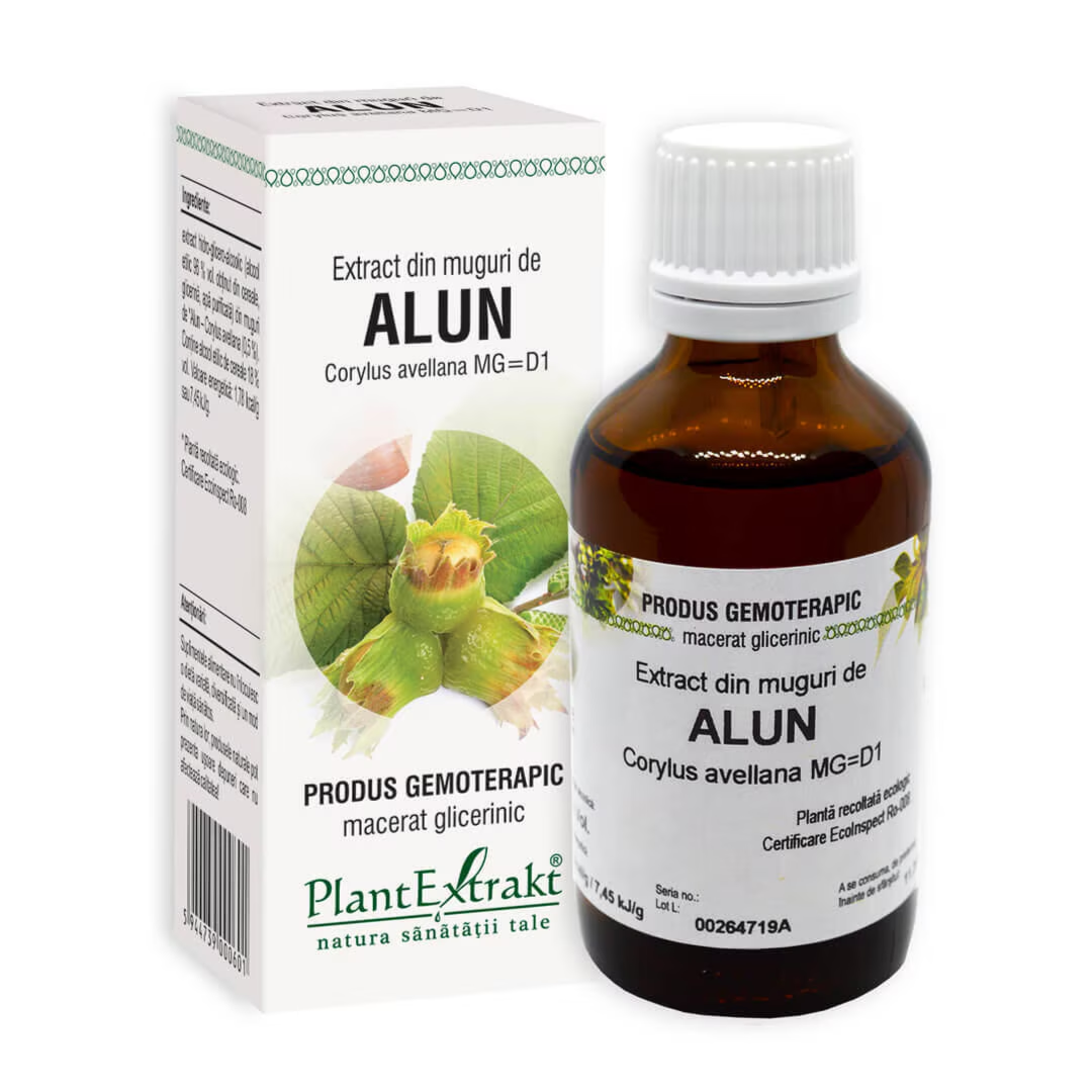 Extract din muguri de Alun
