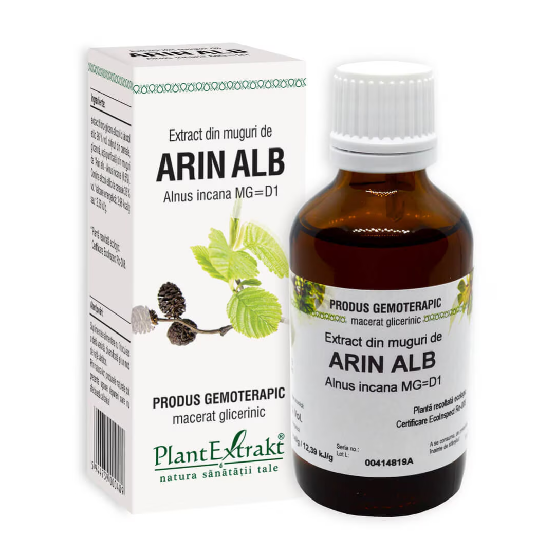 Extract din muguri de Arin Alb