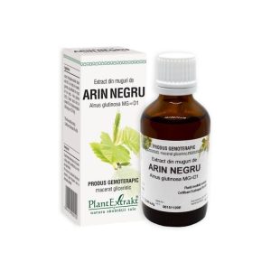 Extract din muguri de Arin Negru