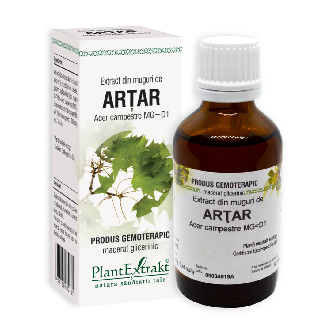 Extract din muguri de Artar