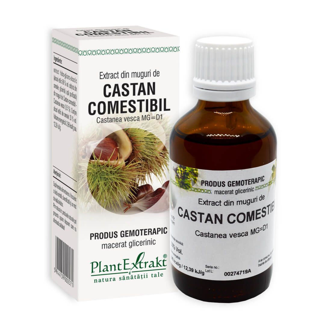 Extract din muguri de Castan comestibil