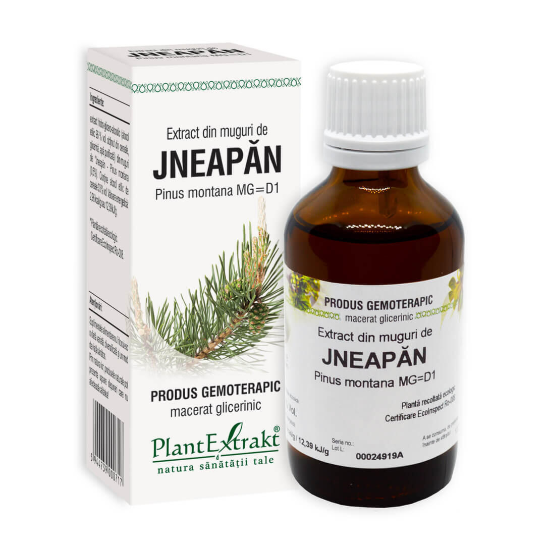 Extract din muguri de Jneapan