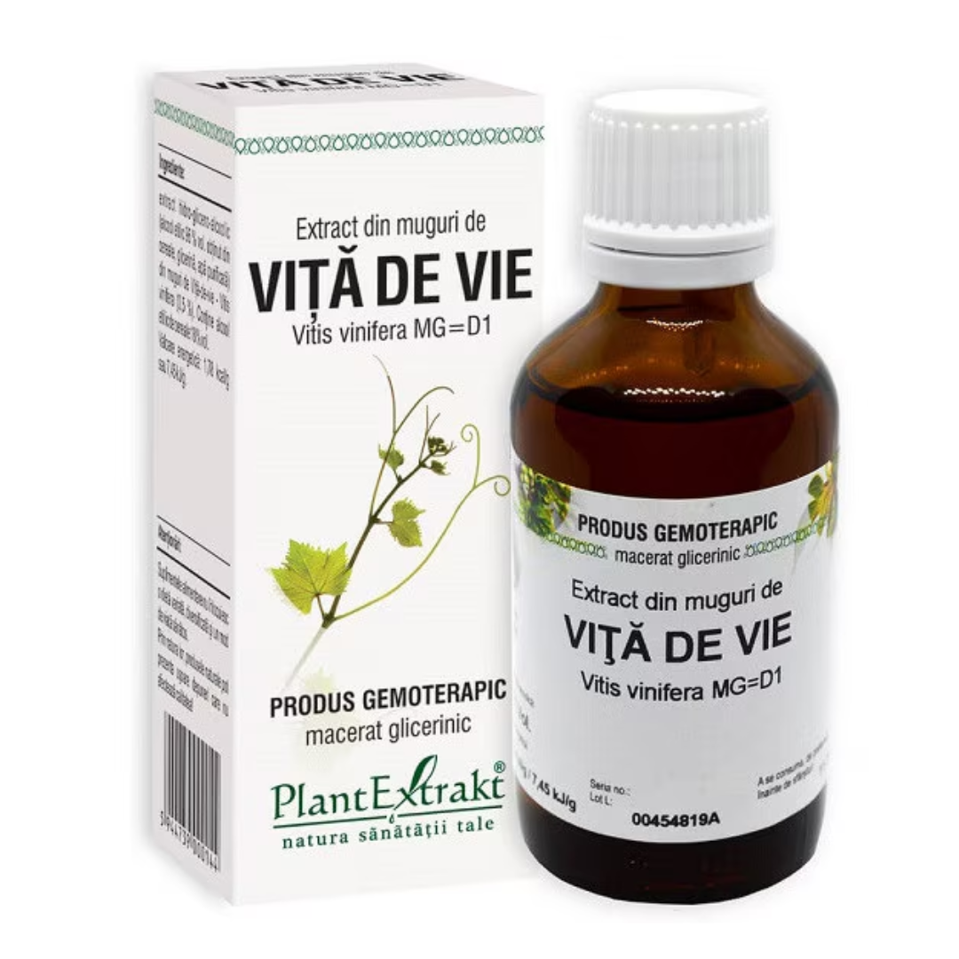 Extract din muguri de Vita de Vie