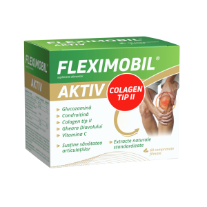 Fleximobil Aktiv