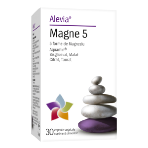 Magne 5