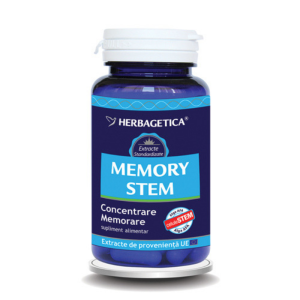 Memory Stem