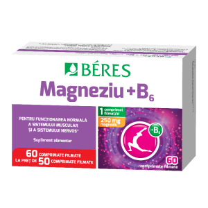 Pachet Magneziu + B6