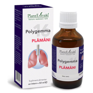 Polygemma 16