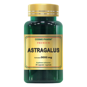 Premium Astragalus Extract 9000mg