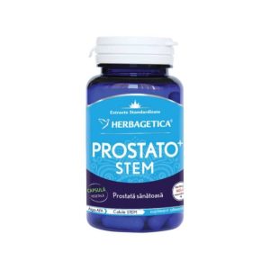 Prostato stem