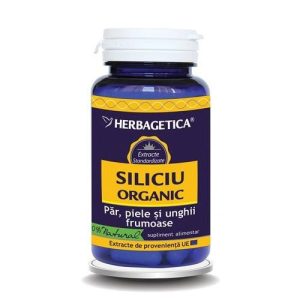 Siliciu organic