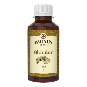 Sirop Ghimbir