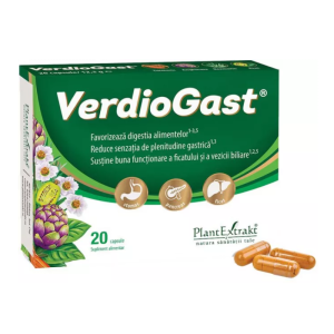 VerdioGast