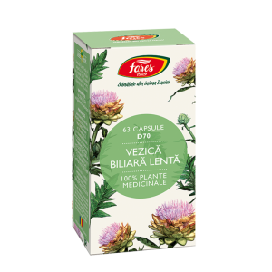 Vezica biliara lenta