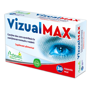 VizualMax