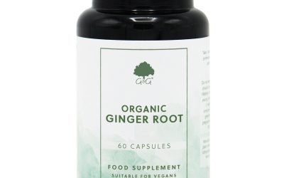 Rădăcină de Ghimbir Organică – Beneficii și Utilizare